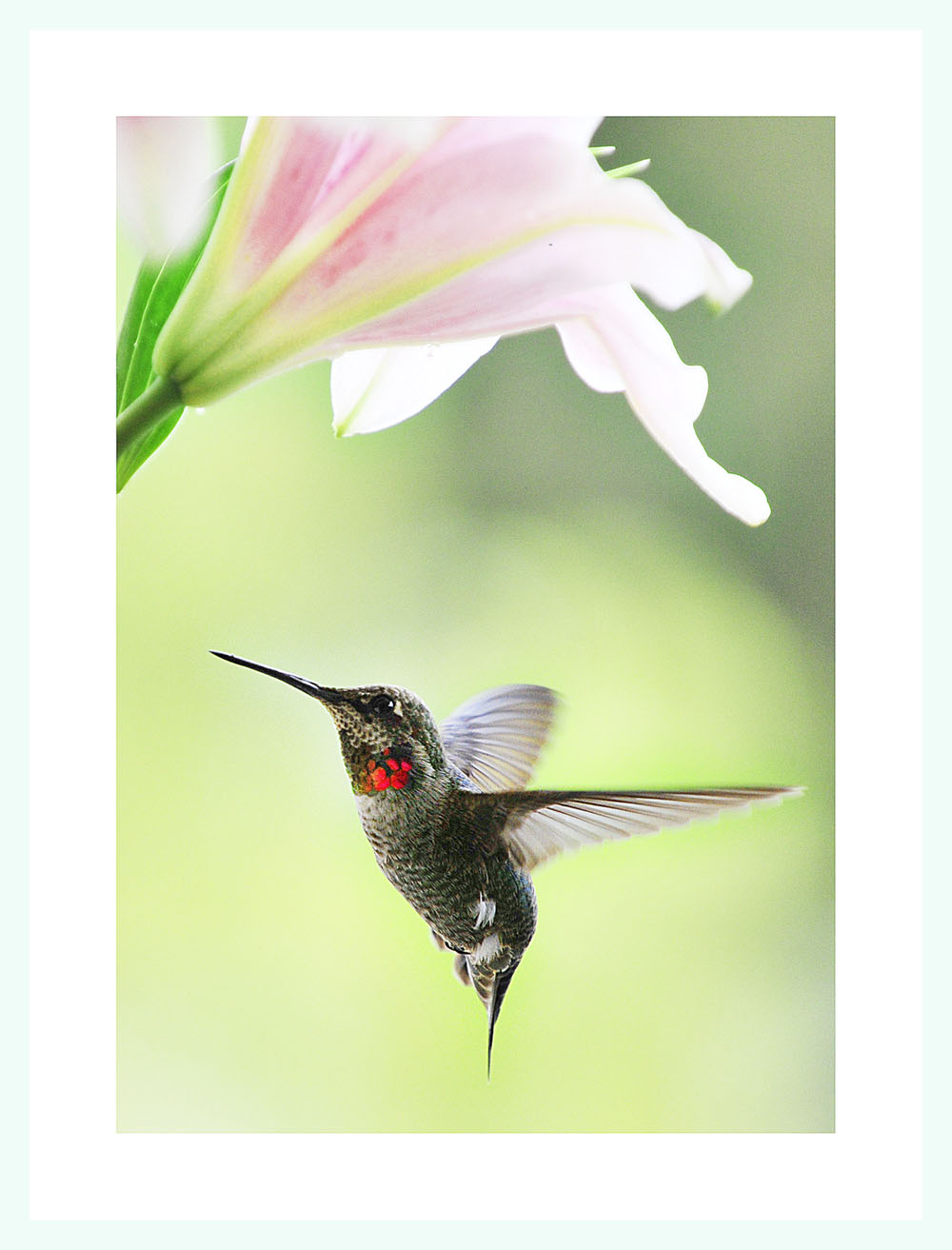 _DSC4632缩小.jpg