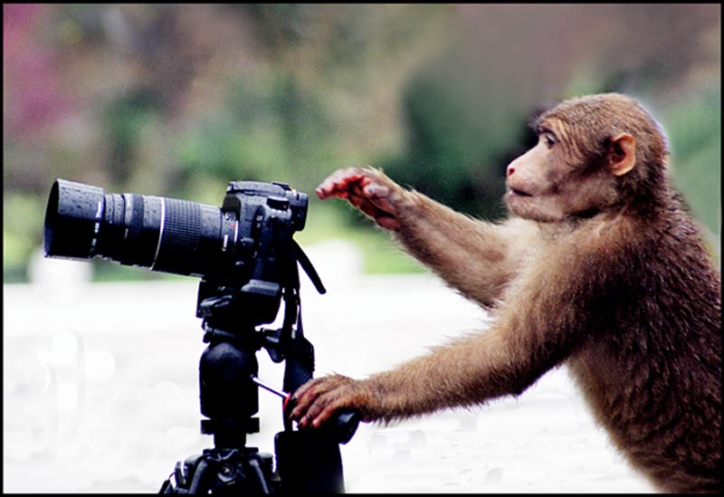 photographer.jpg