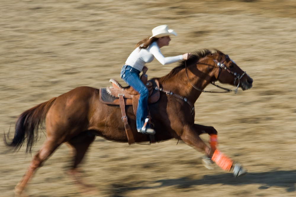 Panning Rodeo 1.jpg