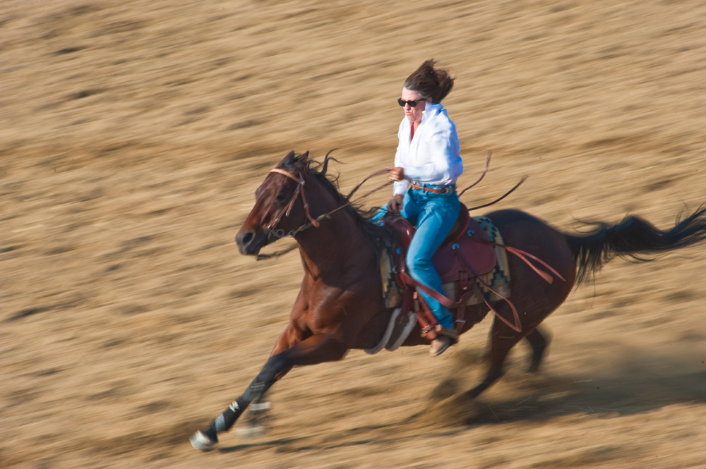 Panning Rodeo 2.jpg