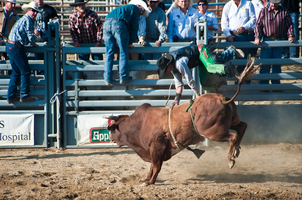 Bull Riding 2.jpg