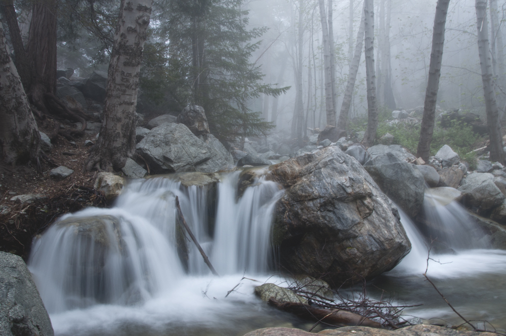 Icehouse Cyn Trail-14.jpg