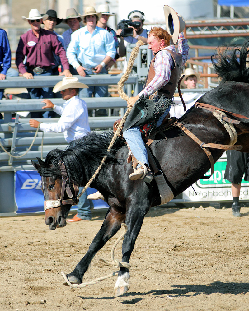 2011-10-02-Rodeo-068s.jpg