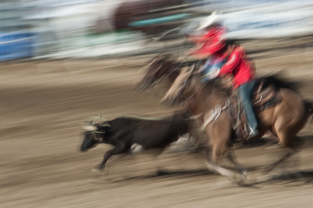 San Dimas Rodeo 7.jpg