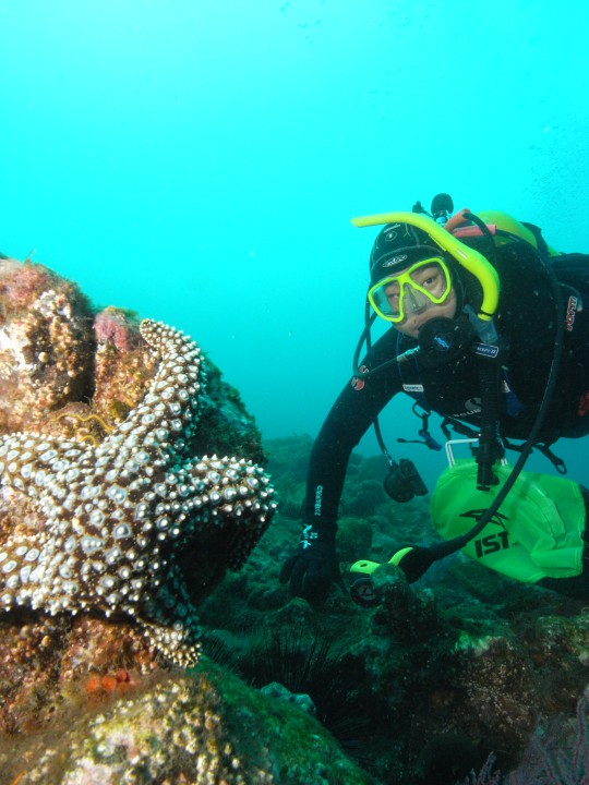 Anacapa 11-7-09.JPG