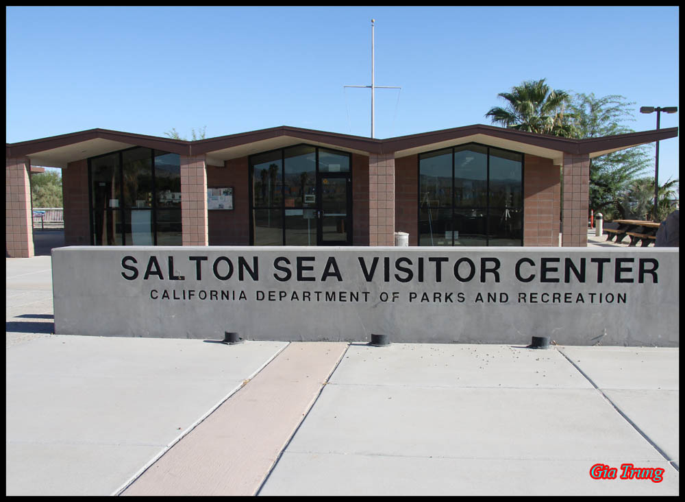 salton 001.jpg