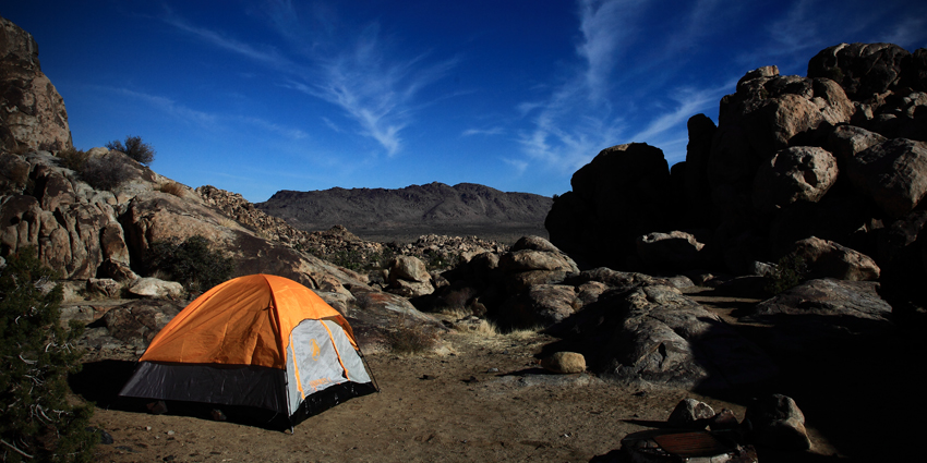 2012-12-16b-Joshua Tree-004s.jpg