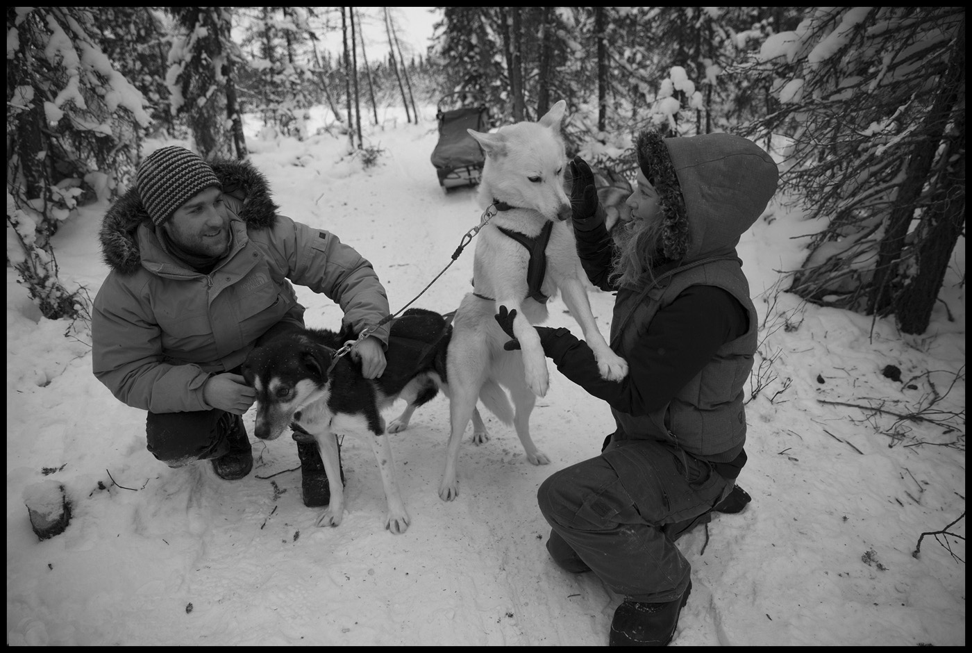 B&W #2 JIMMY WANG Title Man's best friend.jpg